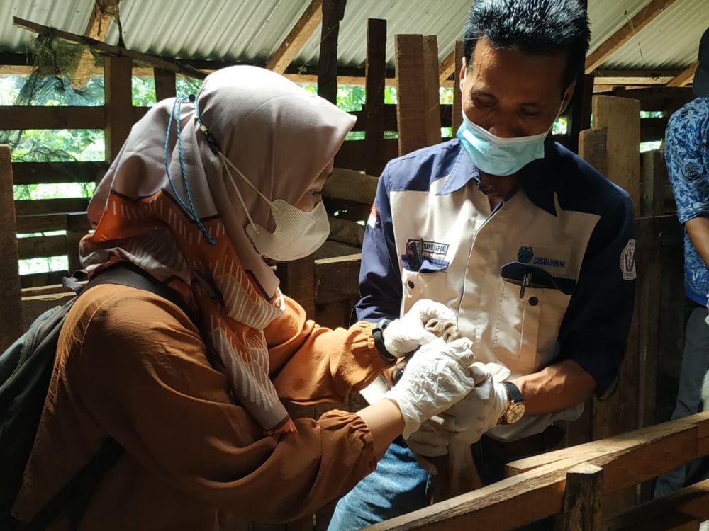Istimewa 