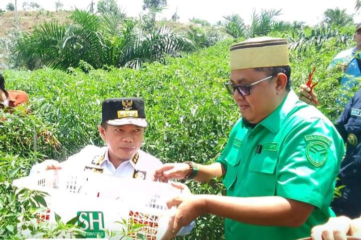 Istimewa 