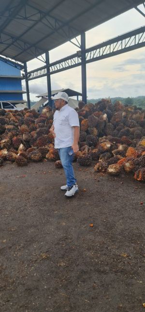  Merasa Terancam, Wakil Koperasi Kelapo Mandiri Laporkan Puluhan SAD ke Polsek Maro Sebo Ulu