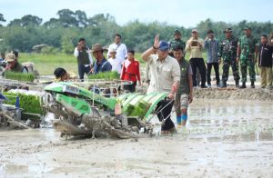  Wujudkan Surplus Pangan, Pemkab Batang Hari Usulkan Alsintan Ke Kementan RI