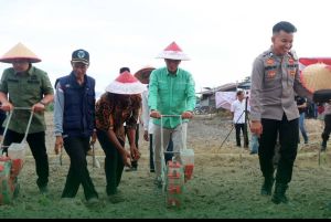  Upaya Penguatan Ketahanan Pangan, Pemkab Batang Hari Usulkan Bantuan Benih Padi dan Jagung