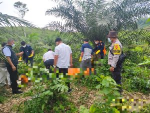 Geger Penemuan Mayat, Sat Reskrim Polres Merangin Lakukan Olah TKP Ungkap Penyebab Kematian Korban  
