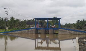  Wabup Katamso Akan Panggil Inspektorat, Terkait Proyek Pintu Air di Parit 10 Desa Tungkal 1