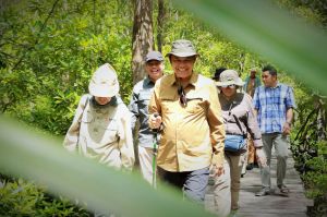  Mangrove Pangkal Babu Dapat Dukungan Pusat, Wabup Katamso Optimis Program Terwujud