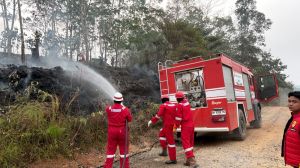  Pertamina EP Bantu Padamkan Lima Titik Kebakaran Lahan di Jambi