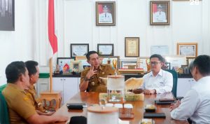  Bupati Fadhil  Arief Tegaskan Komitmen untuk Terus Bersinergi dengan BPKP